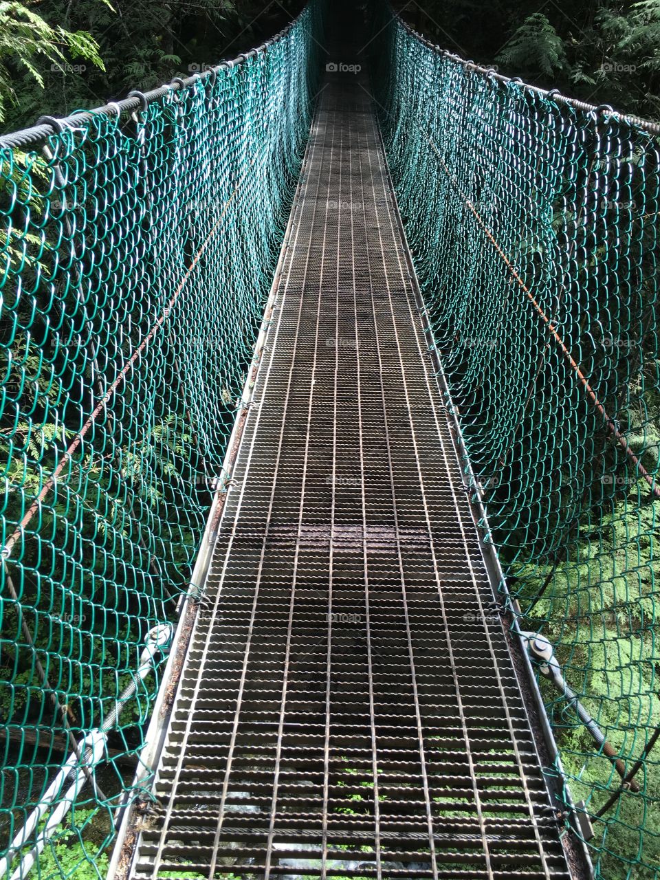 Suspension bridge