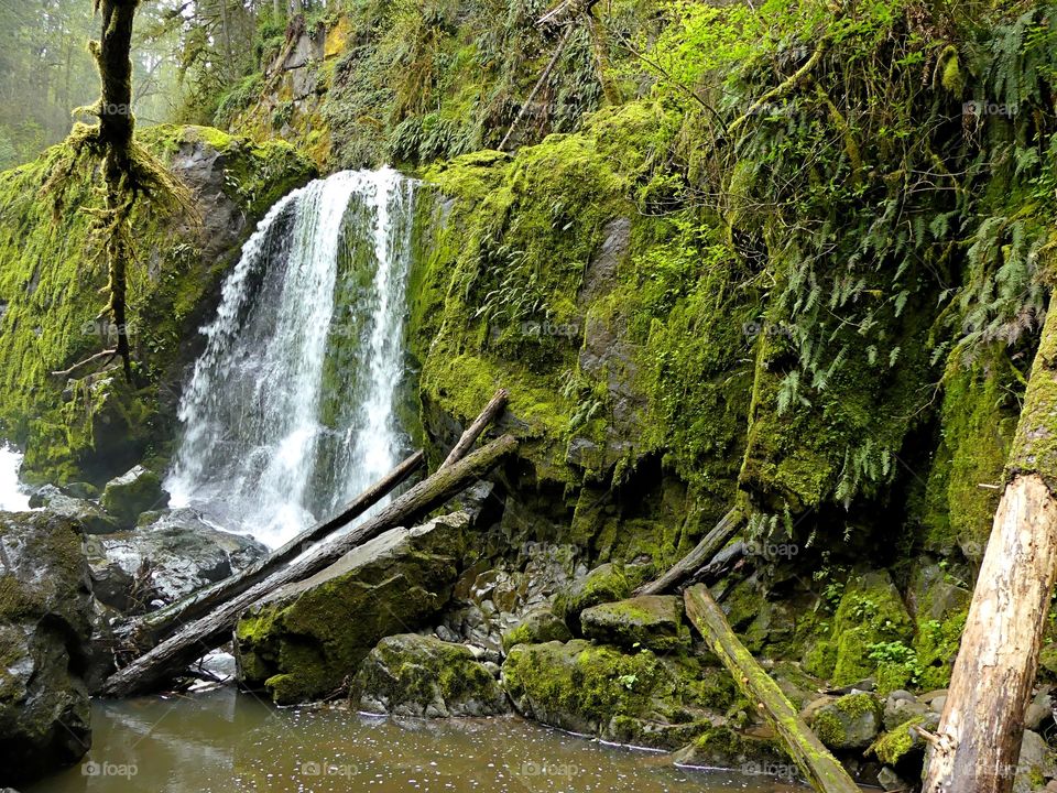 evergreen waterfall