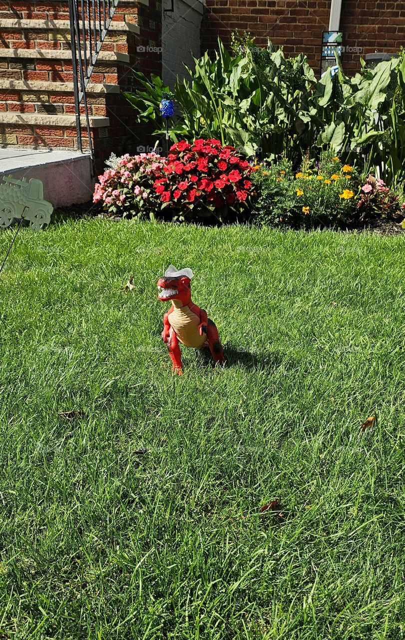 Just your ordinary T-rex neighbor watching the lawn.