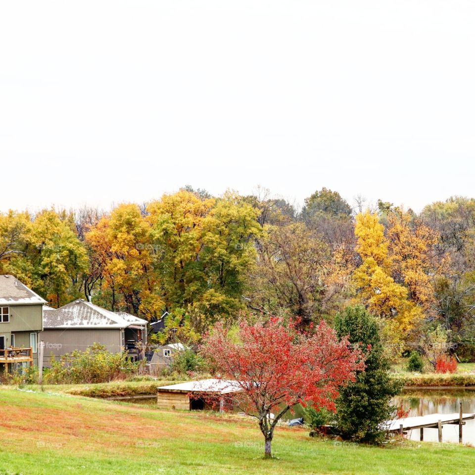 beautiful fall colors