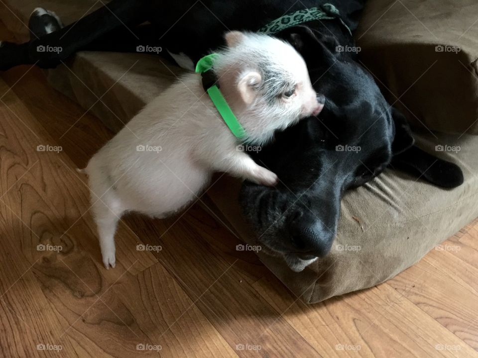 Let me tell you a secret!