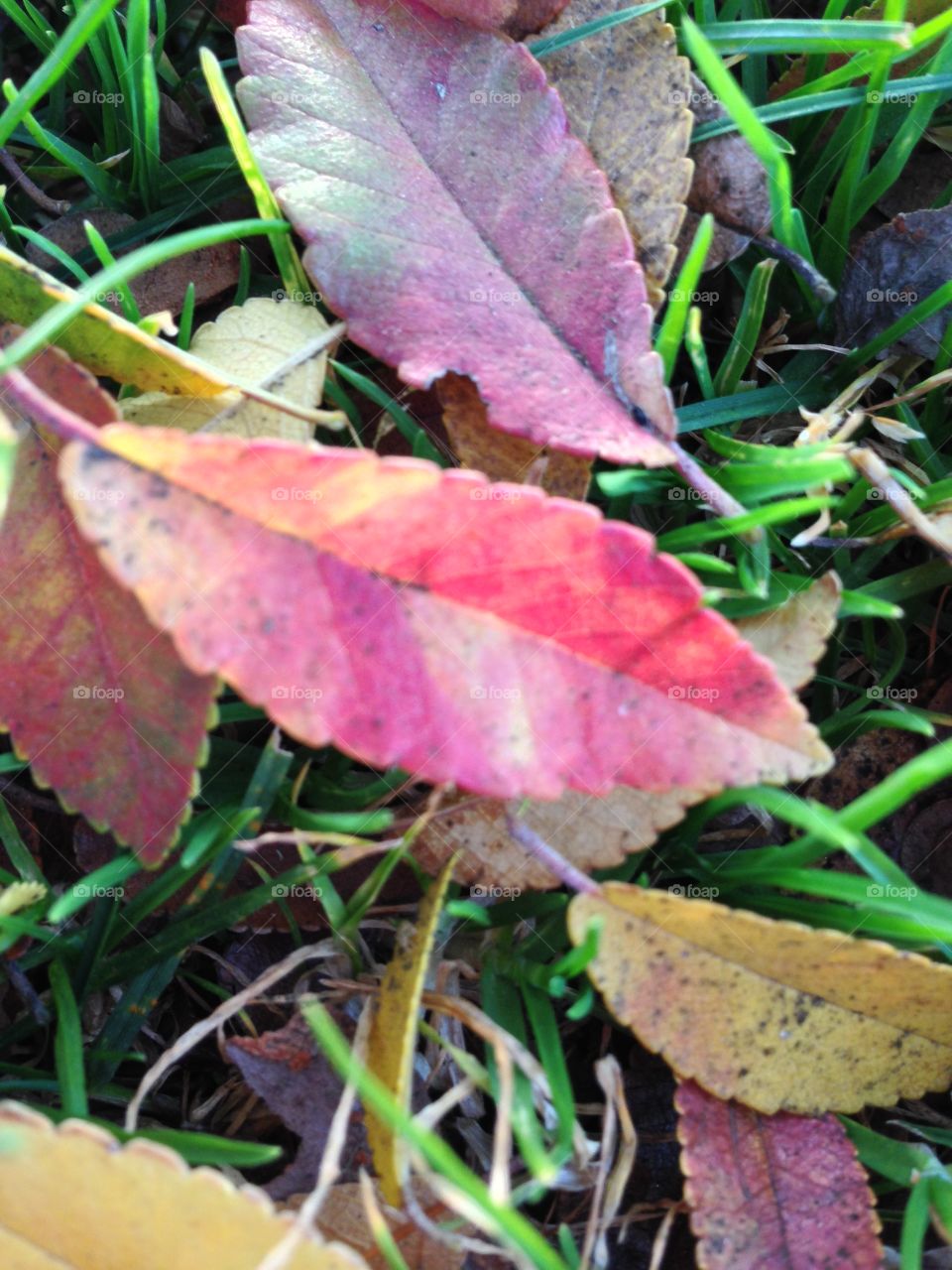 It's time to regenerate 

Published by:
HappyBrownMonkey 