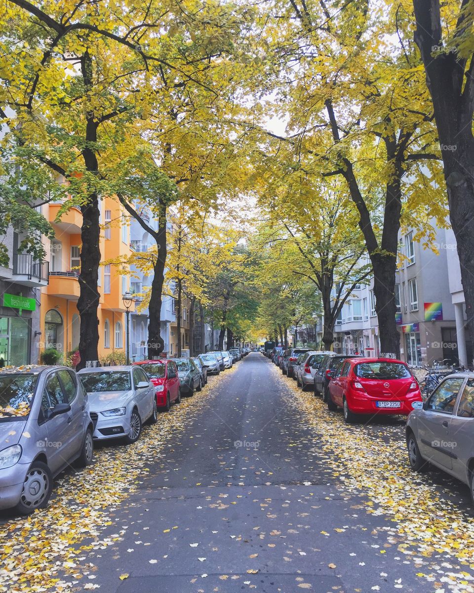 Berlin autumn