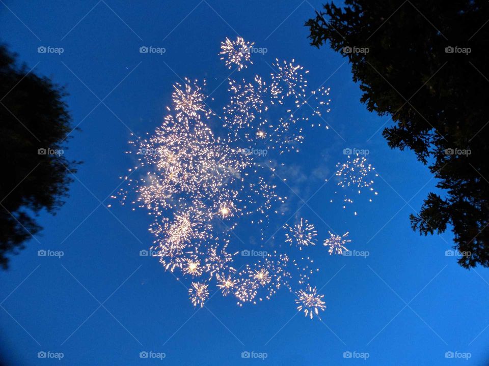 fireworks in the sky