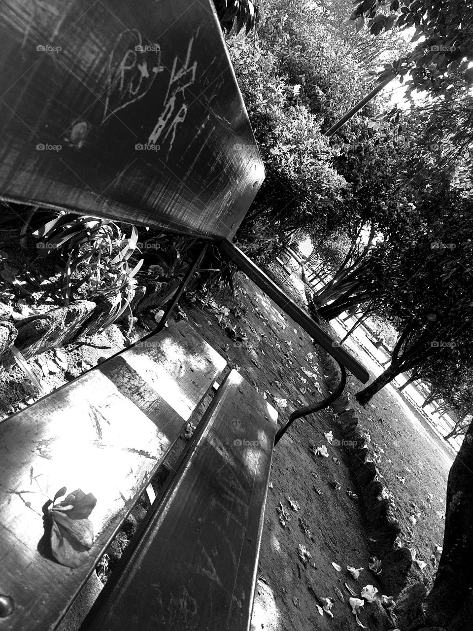 The lull across the garden bench. 
Black and white photografy