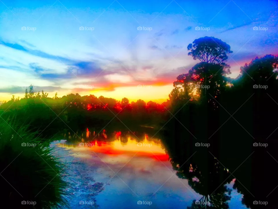 Water