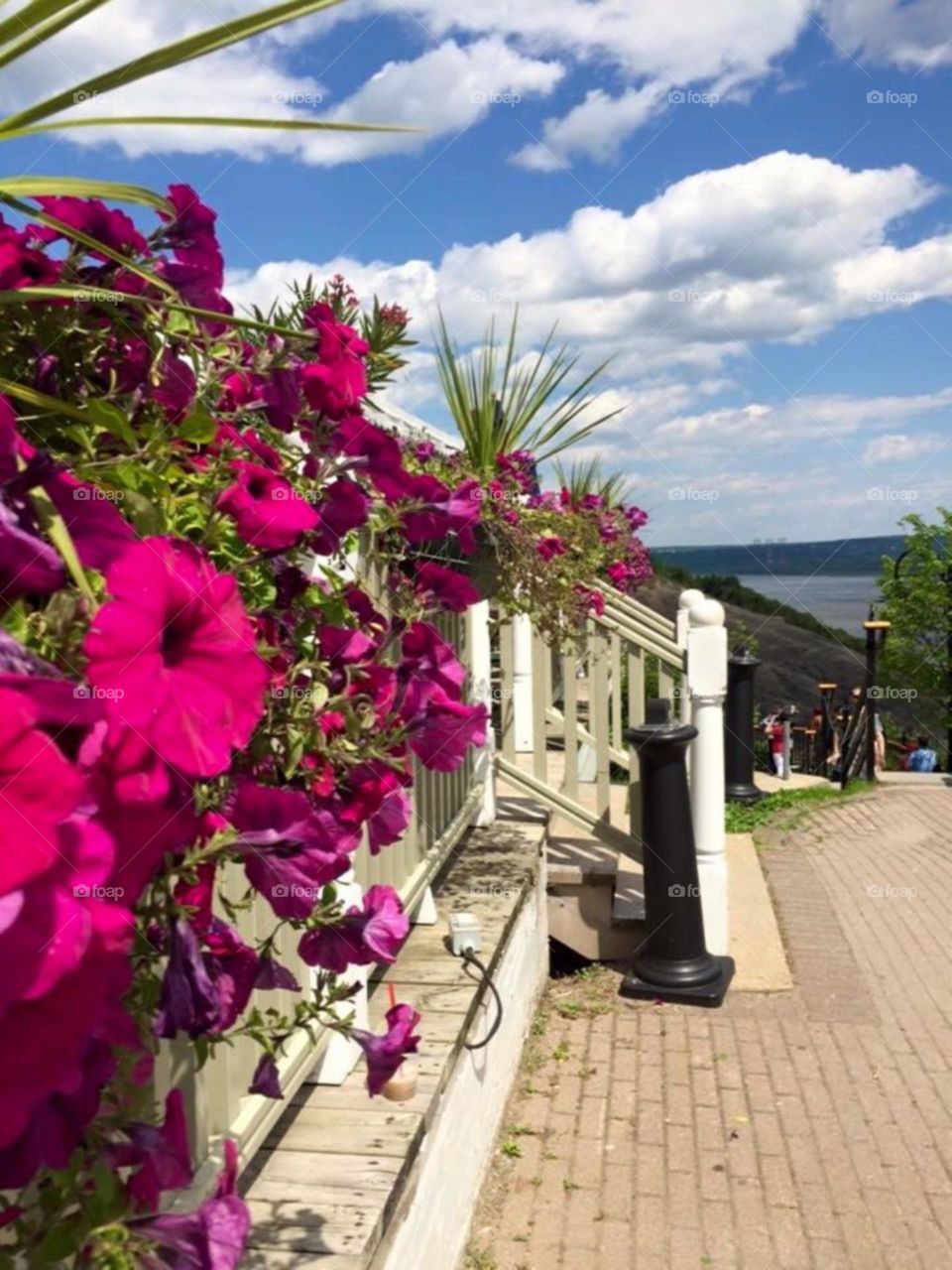 beautiful flower pots in street of Quebec City 