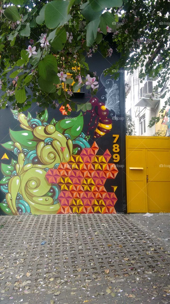 Grafite Porta Amarela