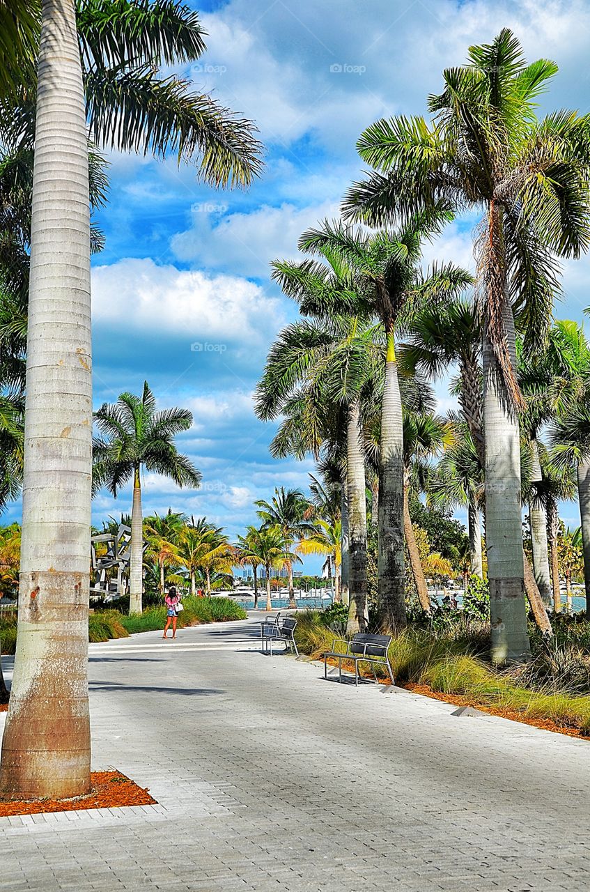 Miami park