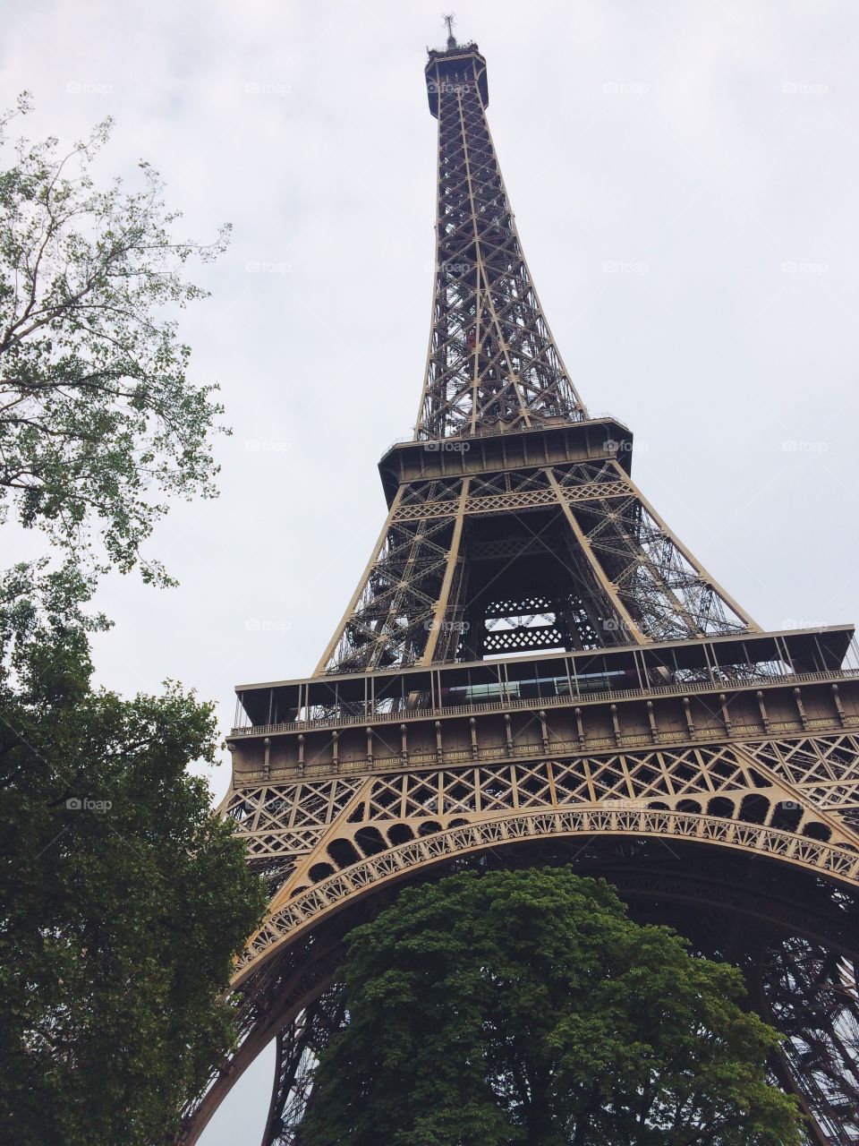 Eiffel Tower in Paris France 