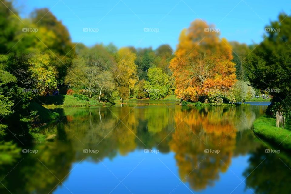Autumnal reflections 