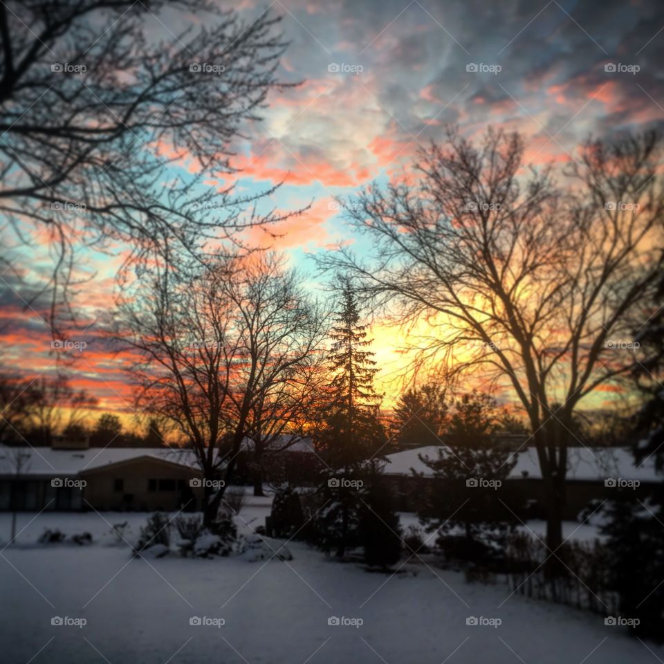 Bedroom window view