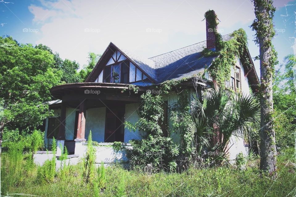Vintage house surrounded by greenery.