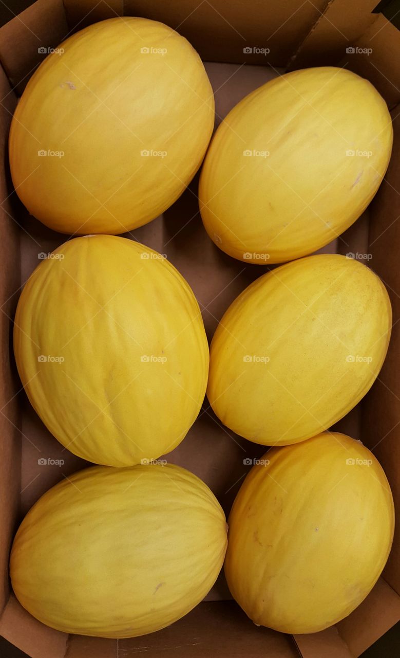 Close-up of honeydew melon