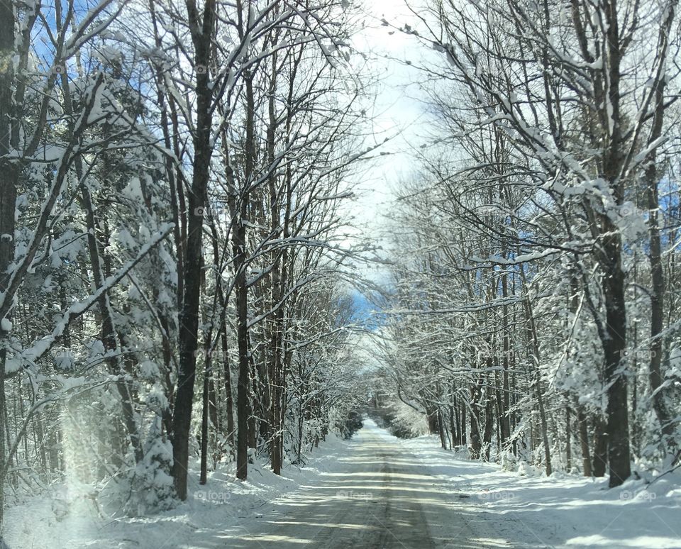 Winter drive