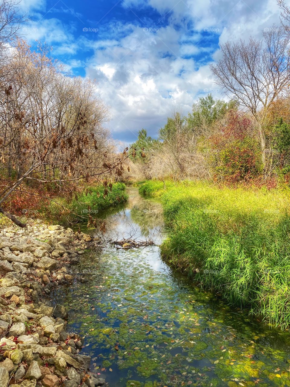 Peaceful creek 