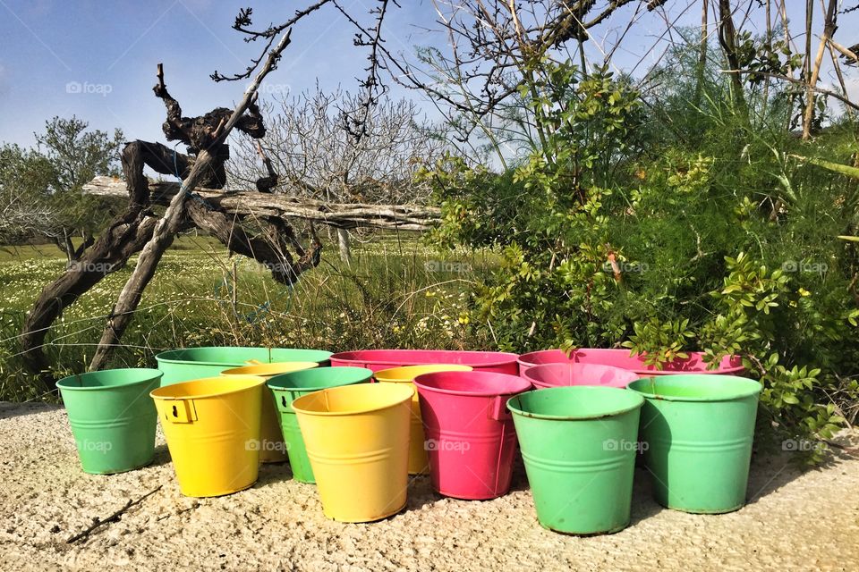 Colourful gardening buckets flower pots