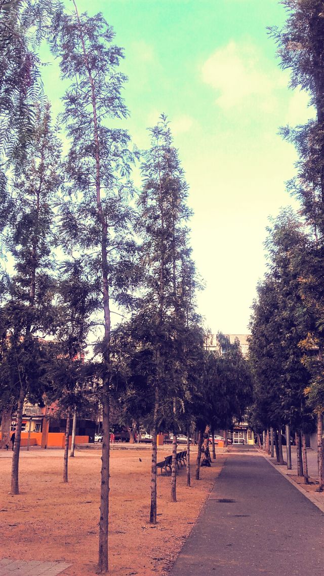en el parque