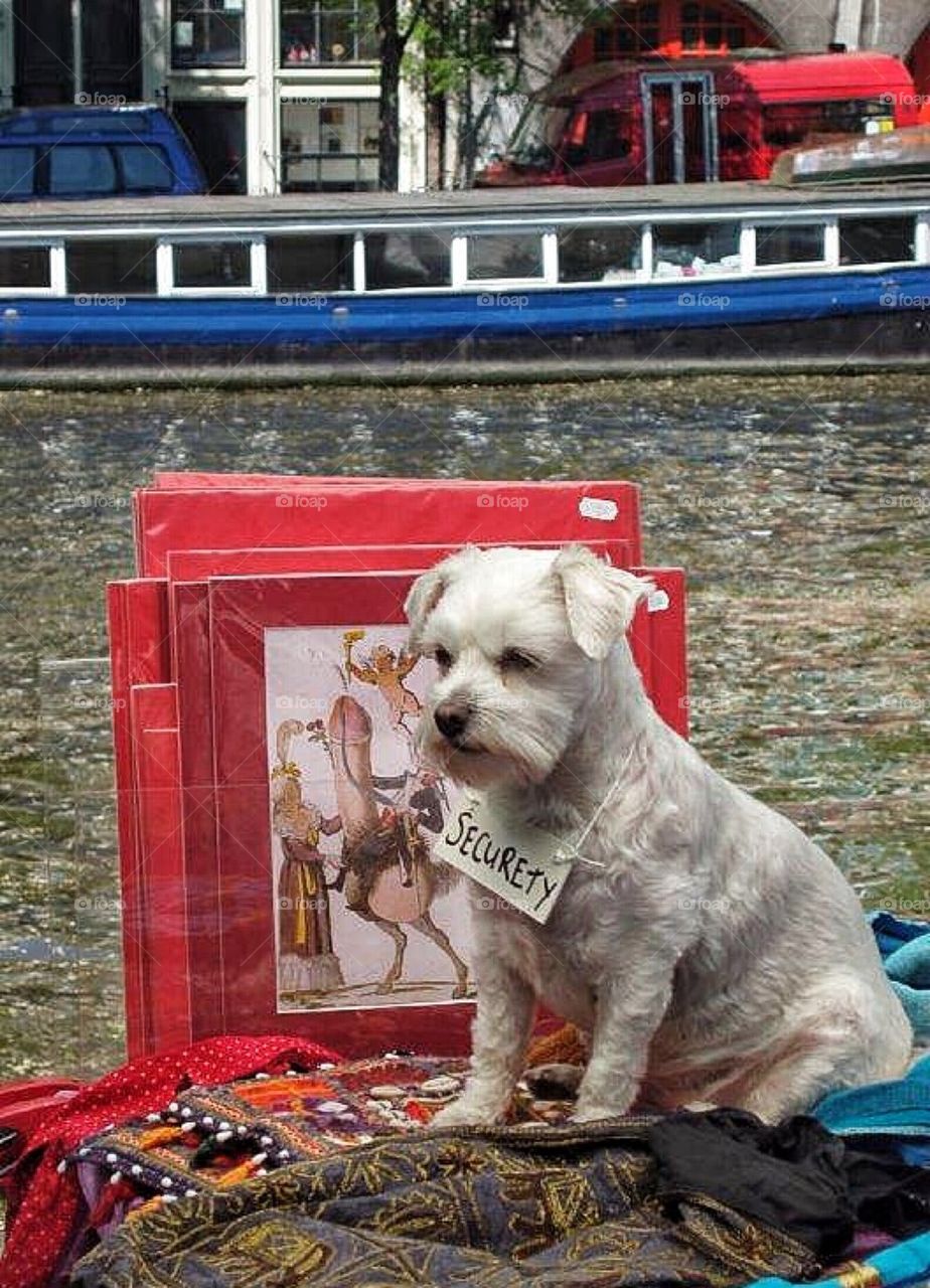 At work on the Flea Market in Amsterdam 