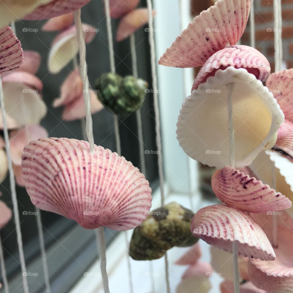 Beautiful seashell decoration  