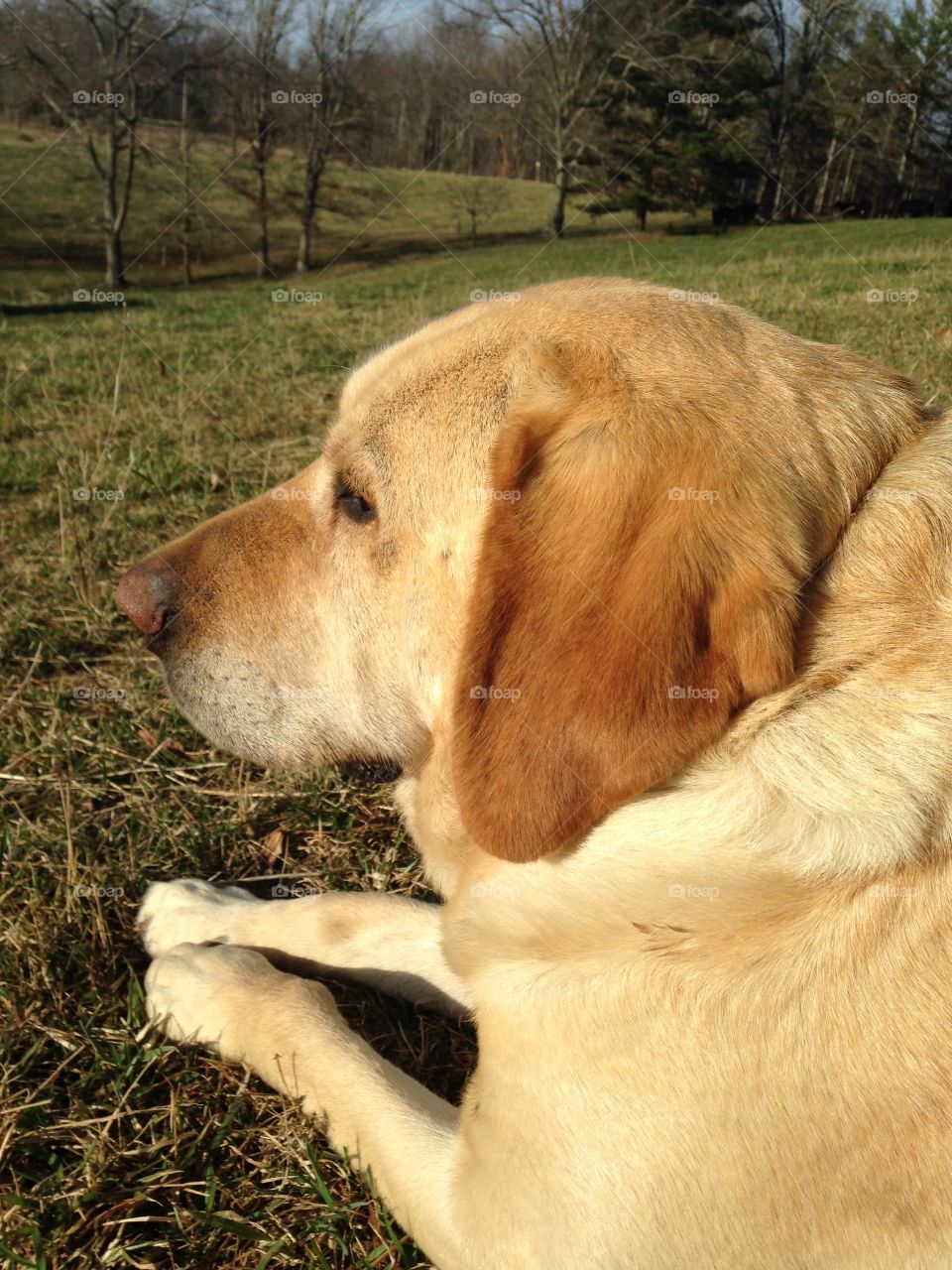 With me as always, by my side