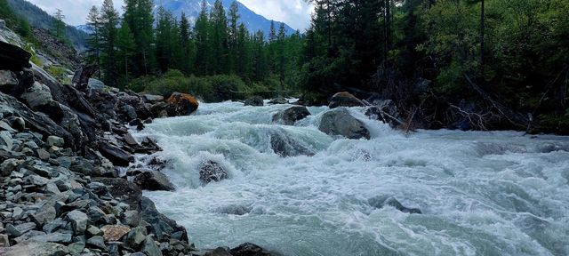 river kucherla