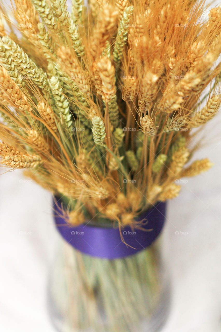 A vase filled with decorative wheat 