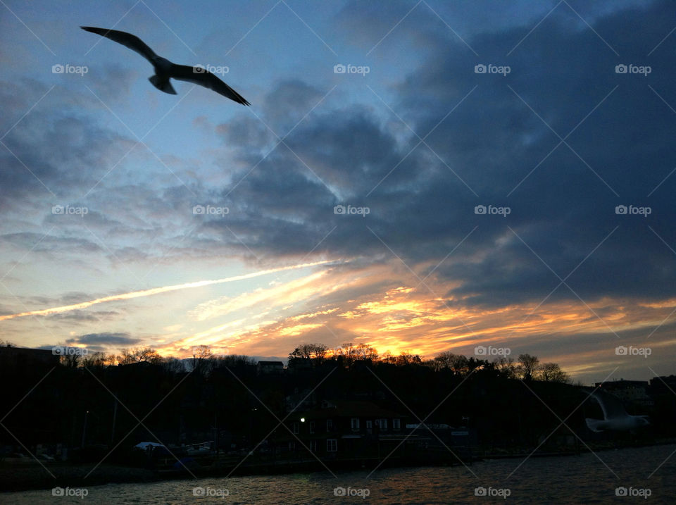 ossining new york morning sun river by delvec