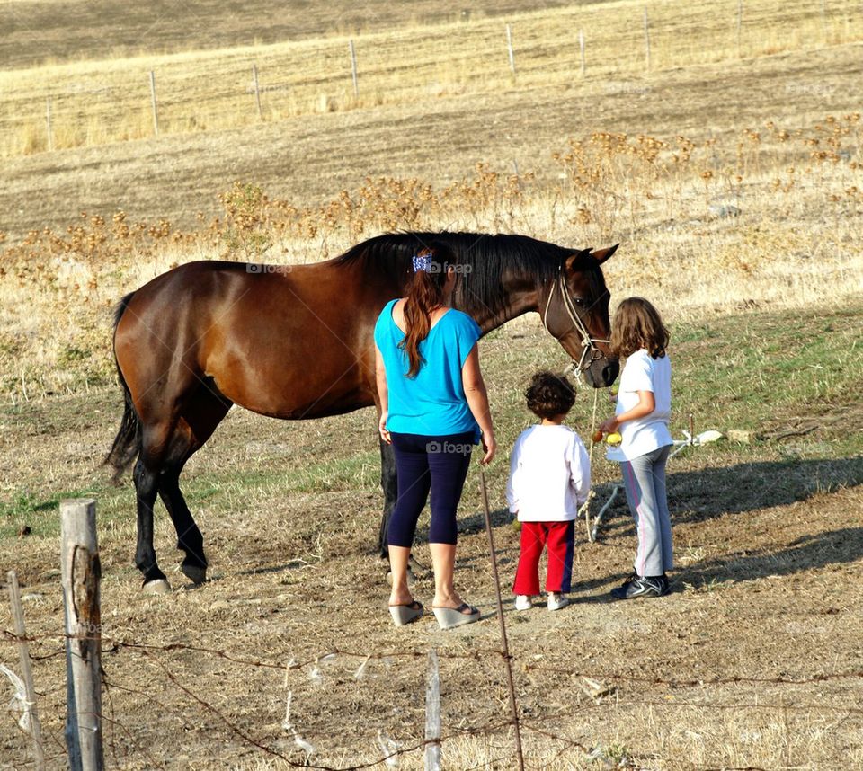 nature love animals horse by Alepenny