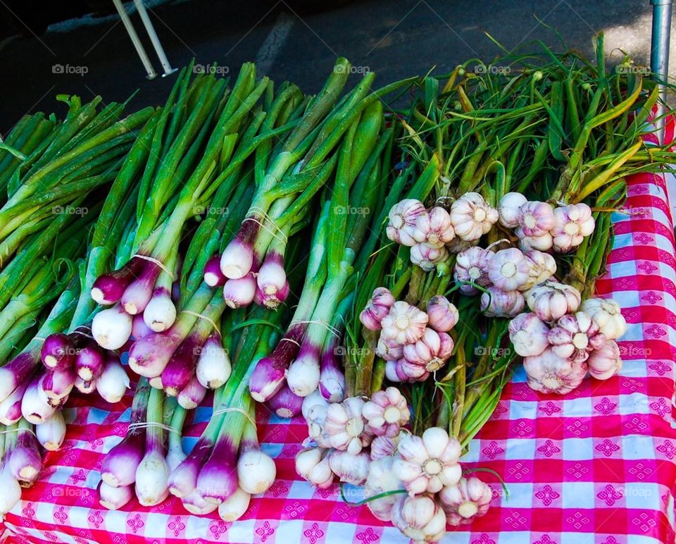 Farmers Market