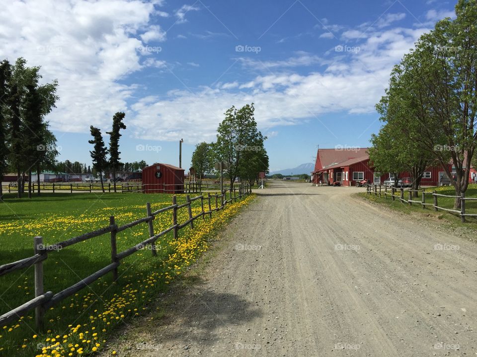 A farm. . Farm view in Alaska 