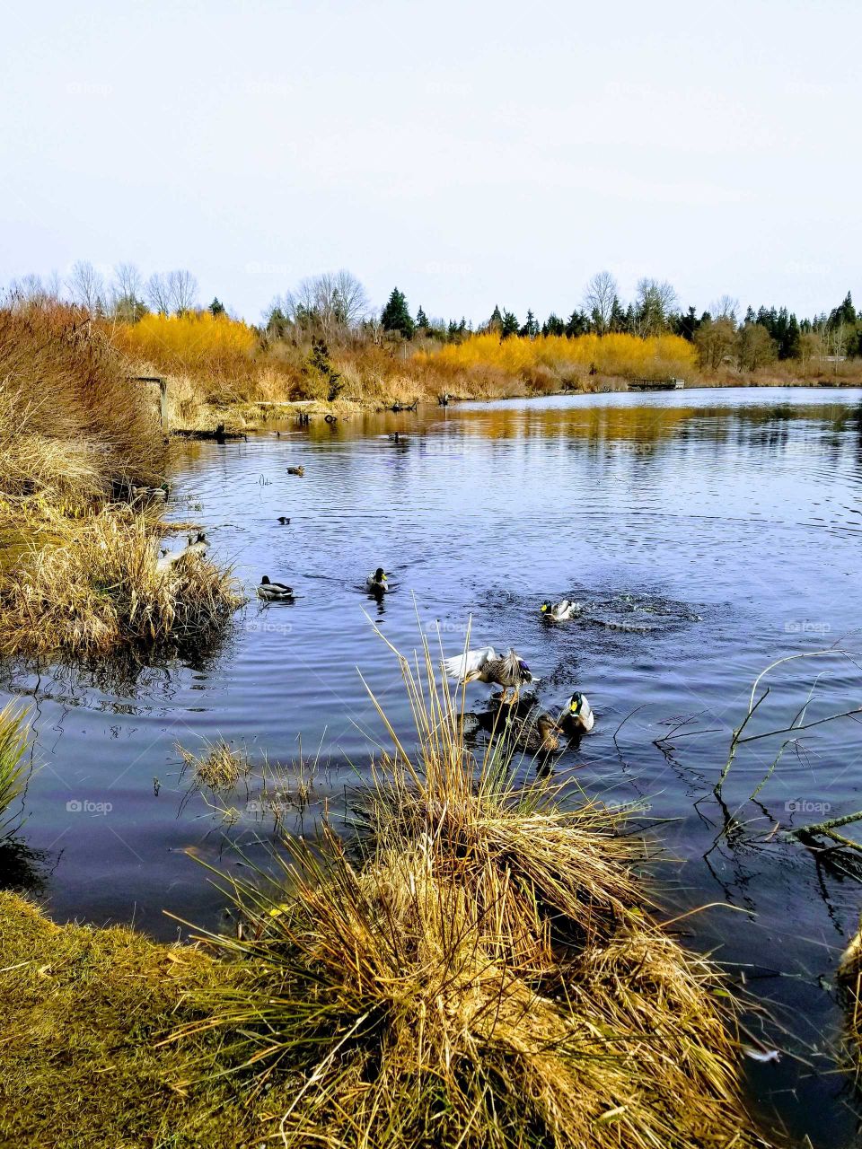 peaceful walk