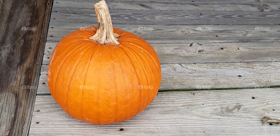 sprucing up your porch for fall