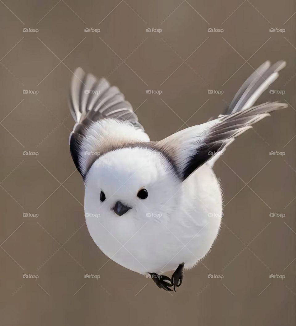 nice pitcher 🌹💐