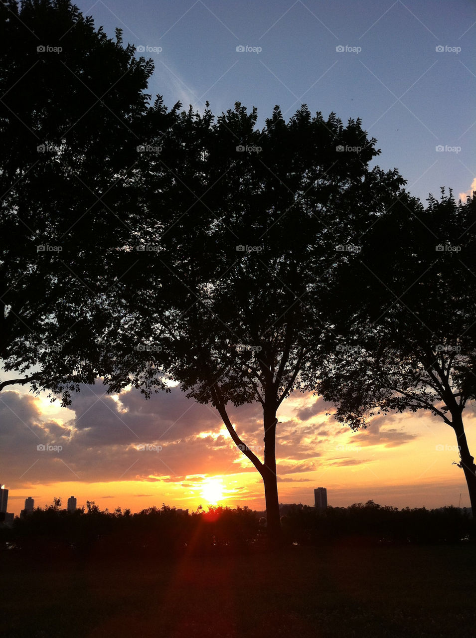 sunset clouds trees by mhavertj