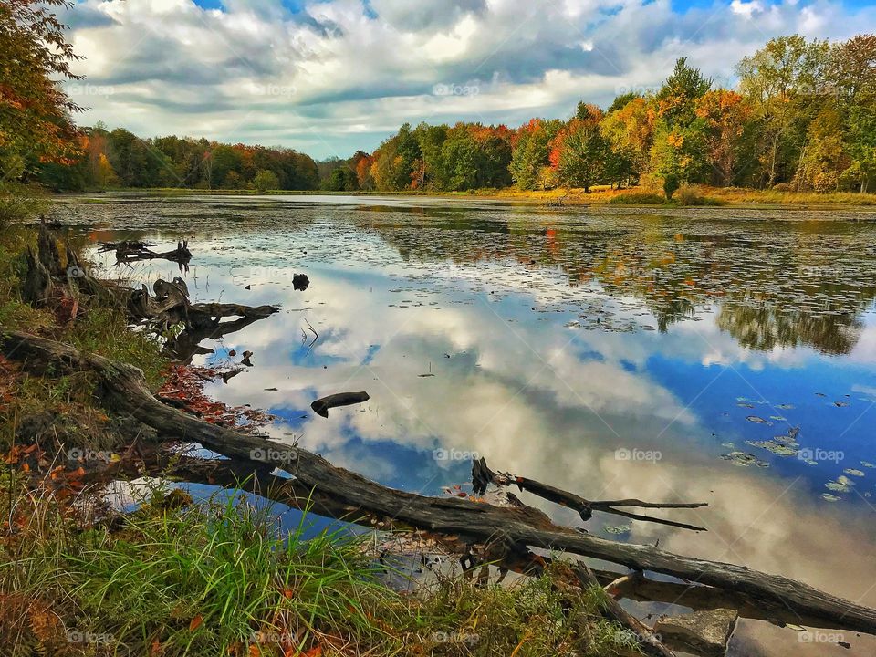 Lake at reinstein woods