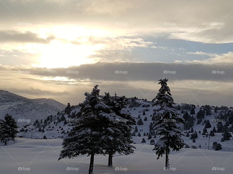 It's a beautiful day