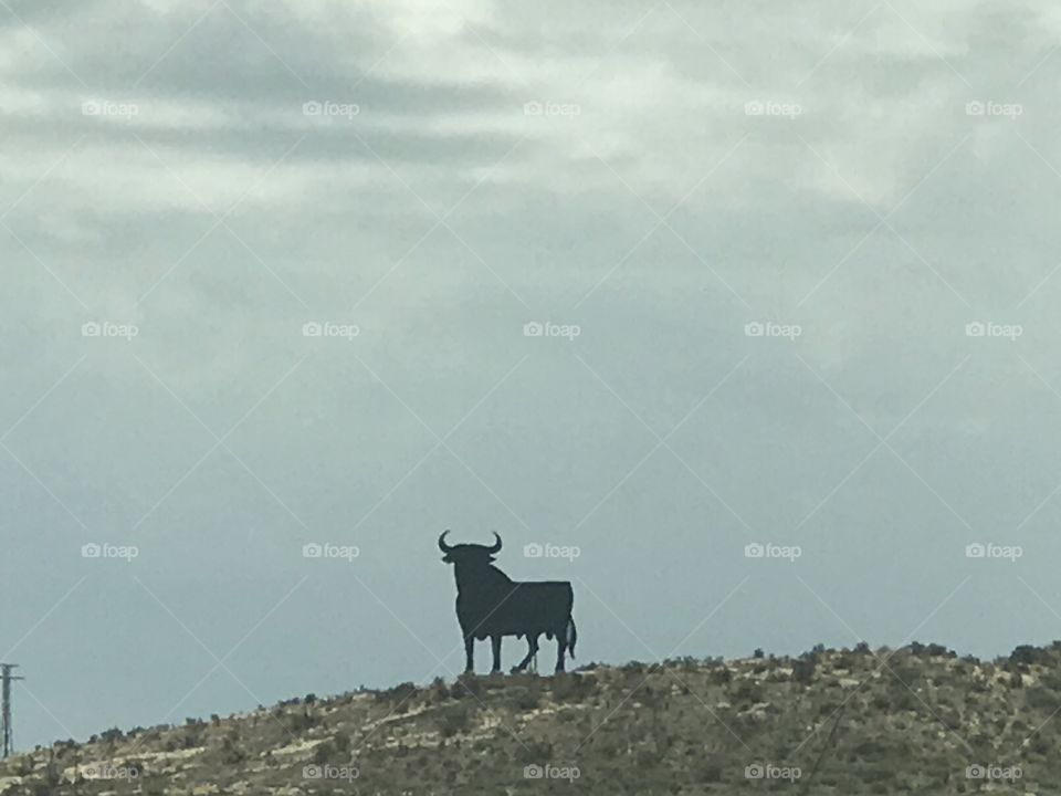 The Bull on the Hill - Spain 