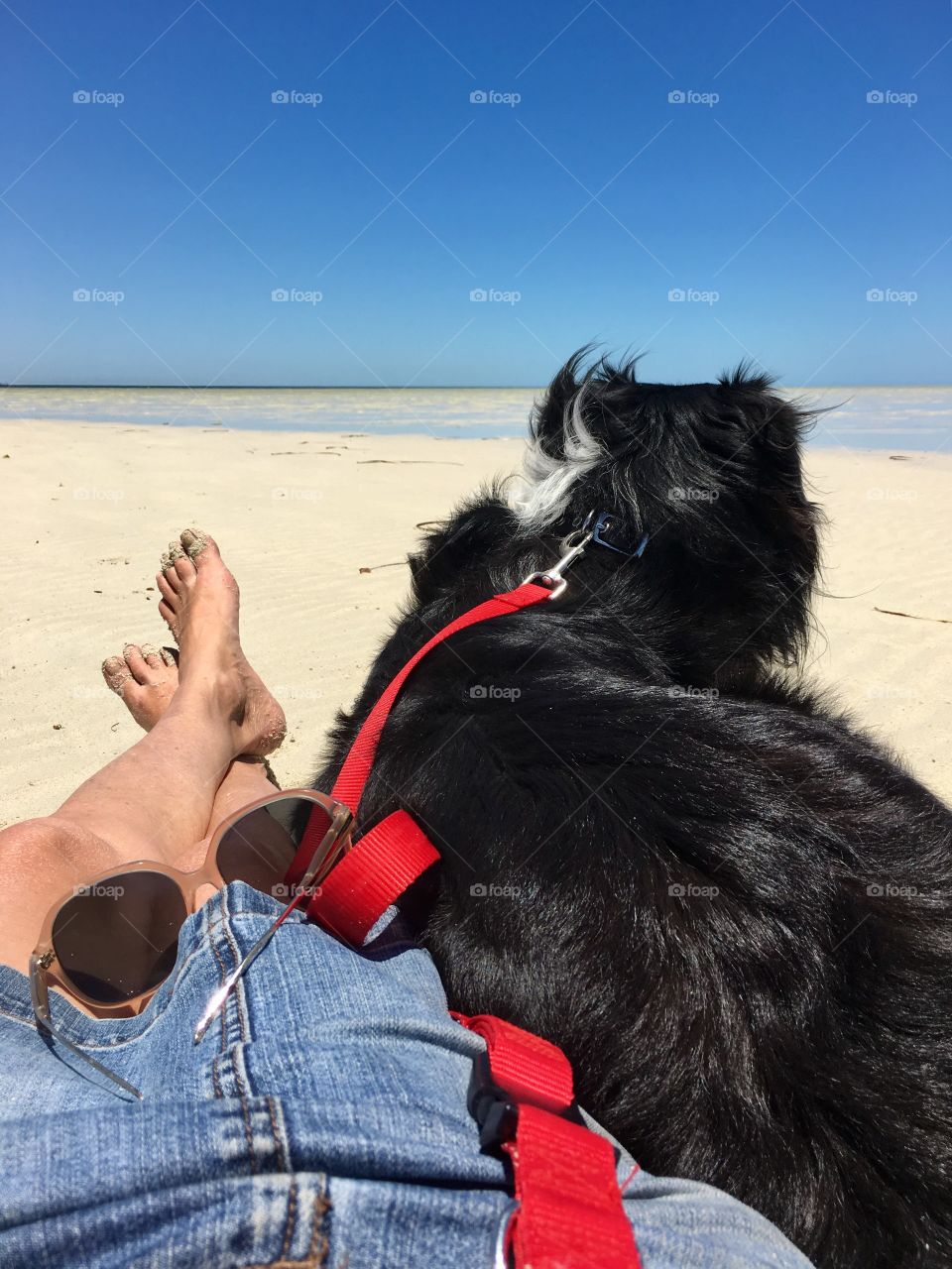 Laying on the beach with my dog, woman, border collie, sand, leash 