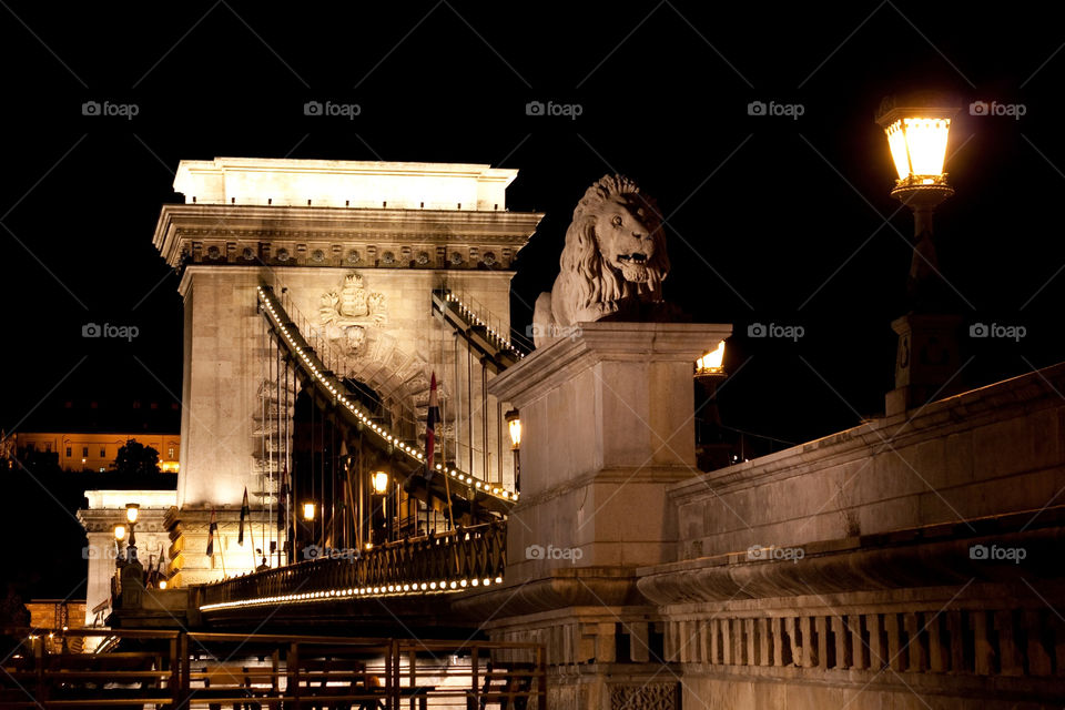 night urban bridge budapest by ndia