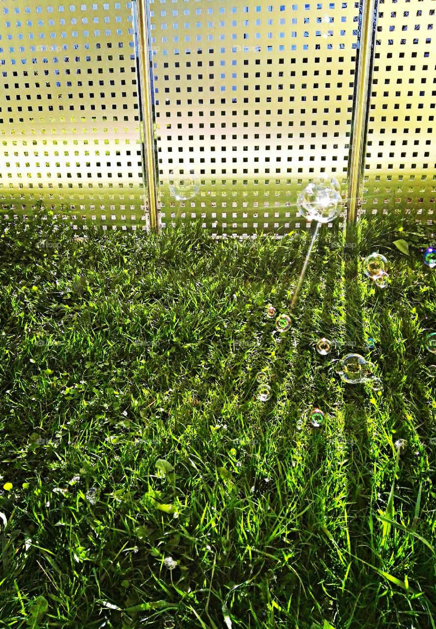 bubbles in backyard