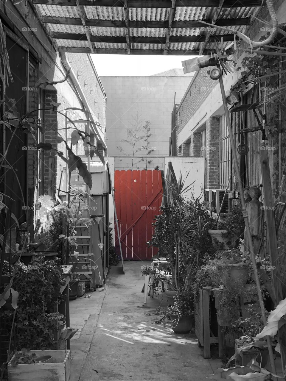 I see a red door and I want to paint it black. 
