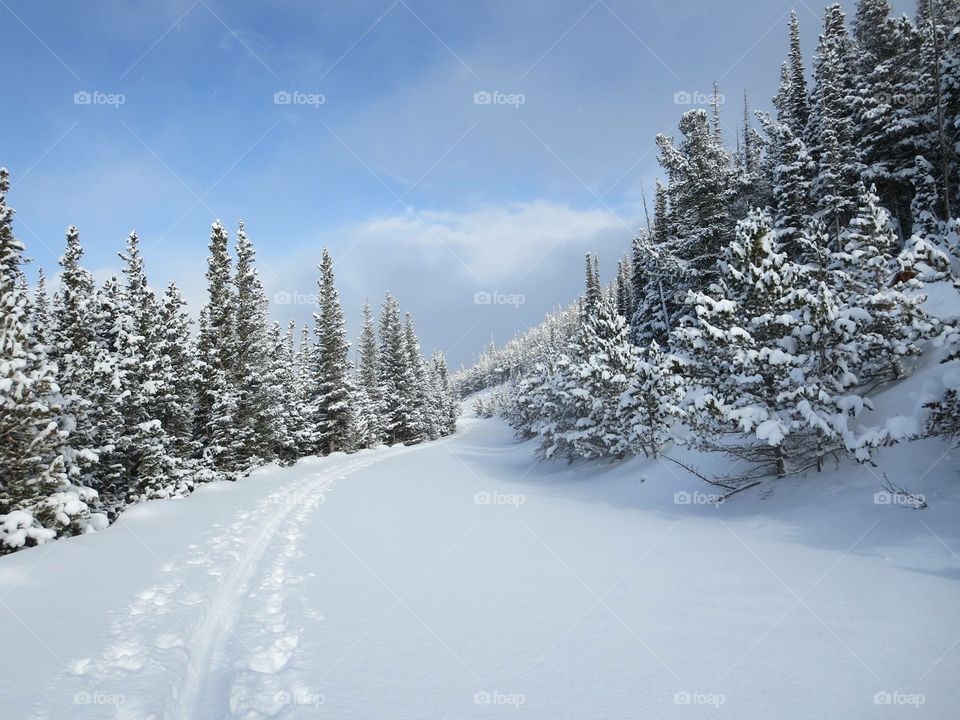 Snow hiking