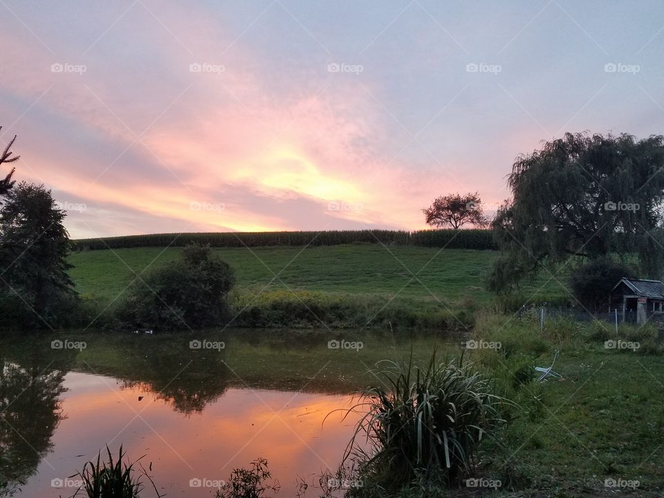 sunset on the farm