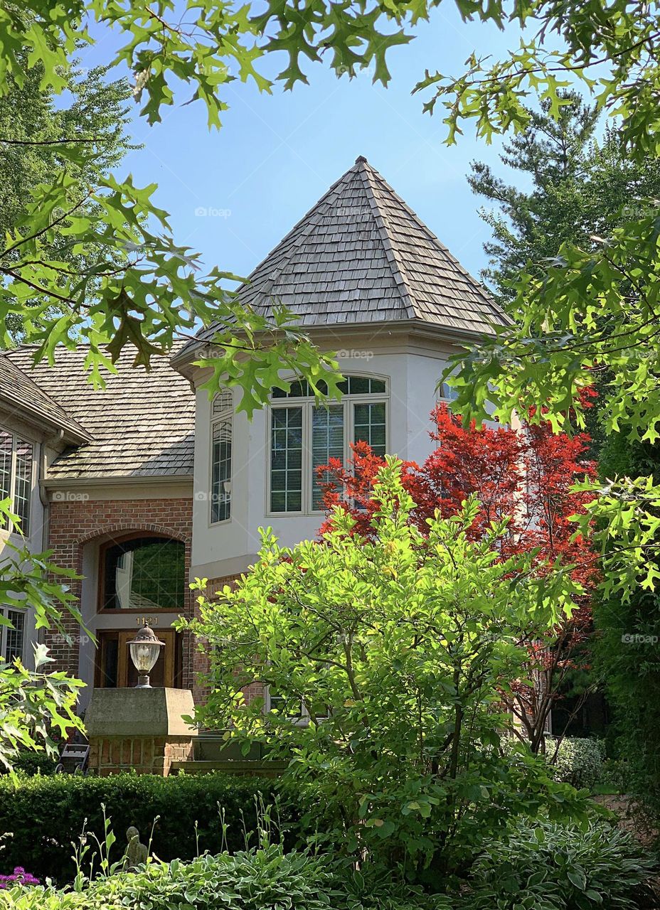 Paradise -Illinois USA 🇺🇸