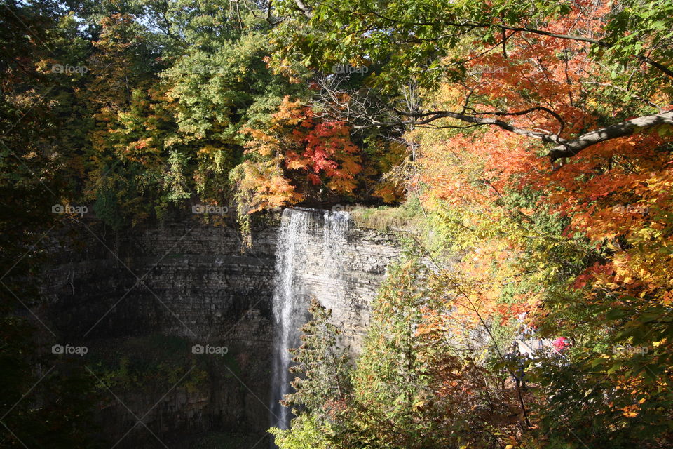 Gorgeous waterfall in autumn