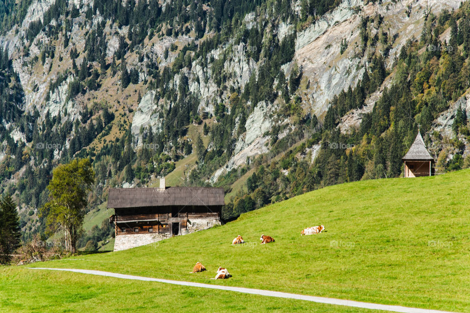 Hut in Austria, with mayestic Background