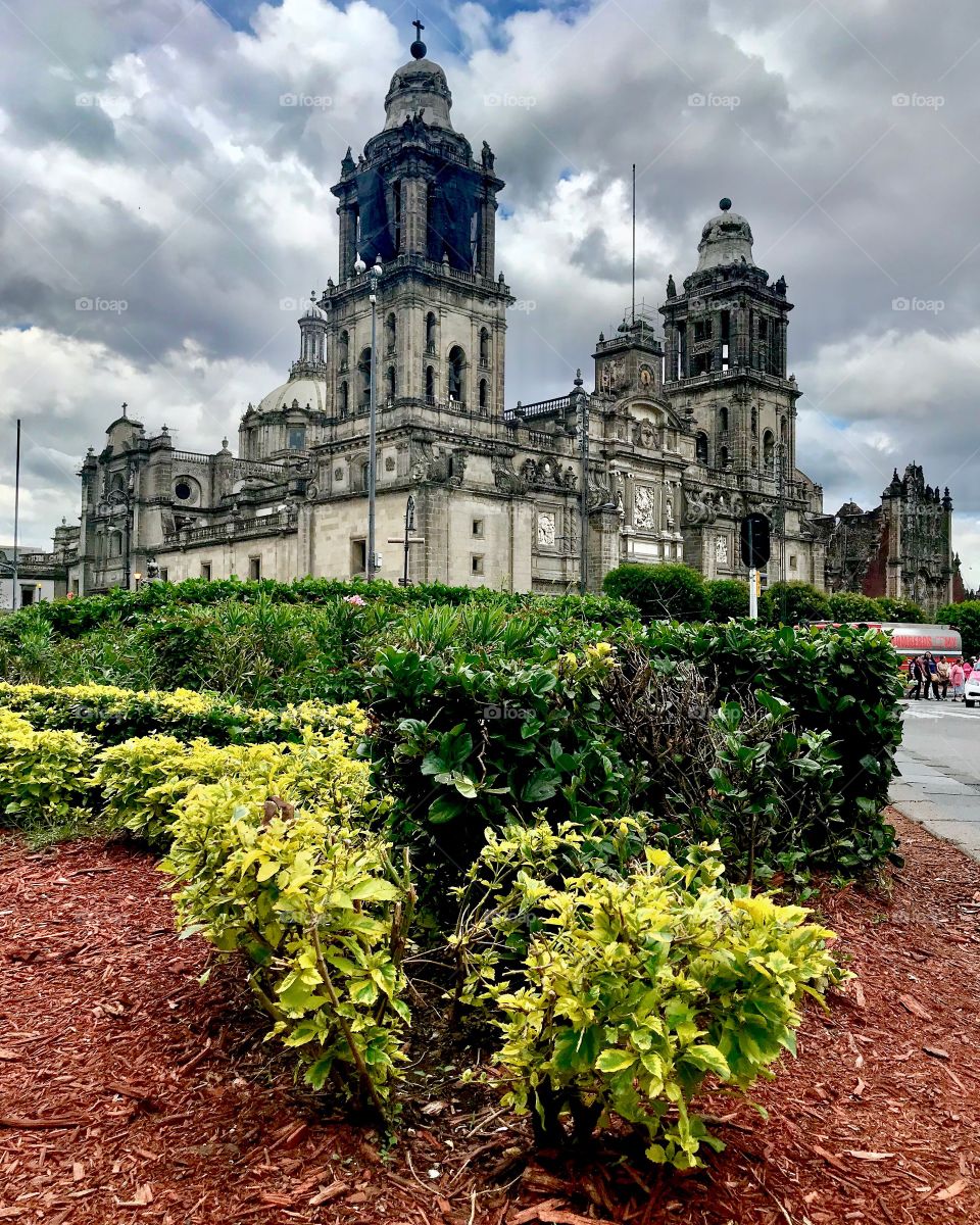 Catedral metropolitana de la Ciudad de México!