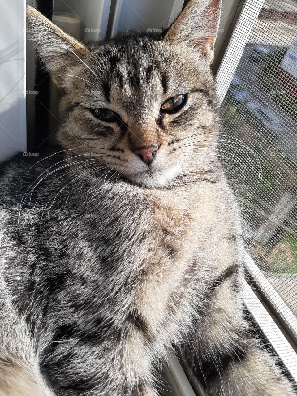 Ну,   вся   во  вниманиии   вашем!