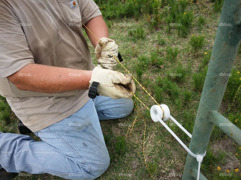 Blue Collar working man Farmer Rancher wearing gloves, blue jeans & sweating in the summer sun Stringing Hotwire Fencing in a Pasture